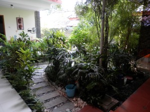 Garden at Sabana